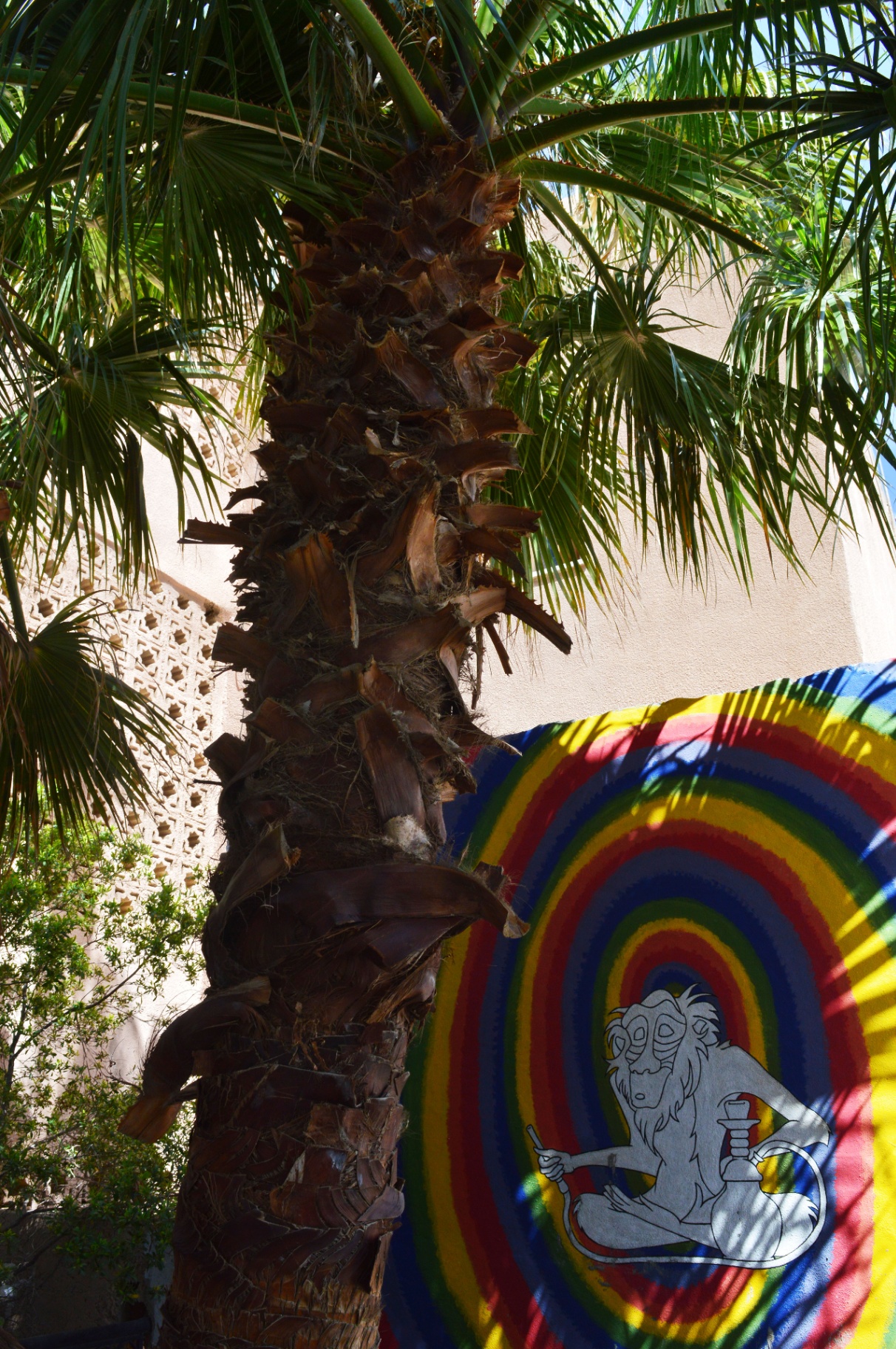 Palm tree and Rafiki tapestry in the courtyard